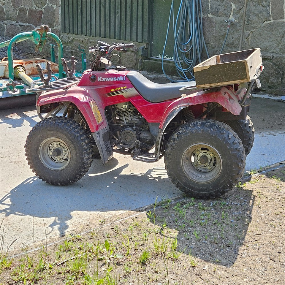 Kawasaki KLF 250 - ATV: gambar 3 Kawasaki KLF 250 - ATV: gambar 3