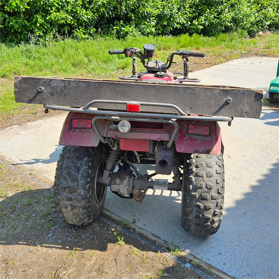 Kawasaki KLF 250 - ATV: gambar 5 Kawasaki KLF 250 - ATV: gambar 5