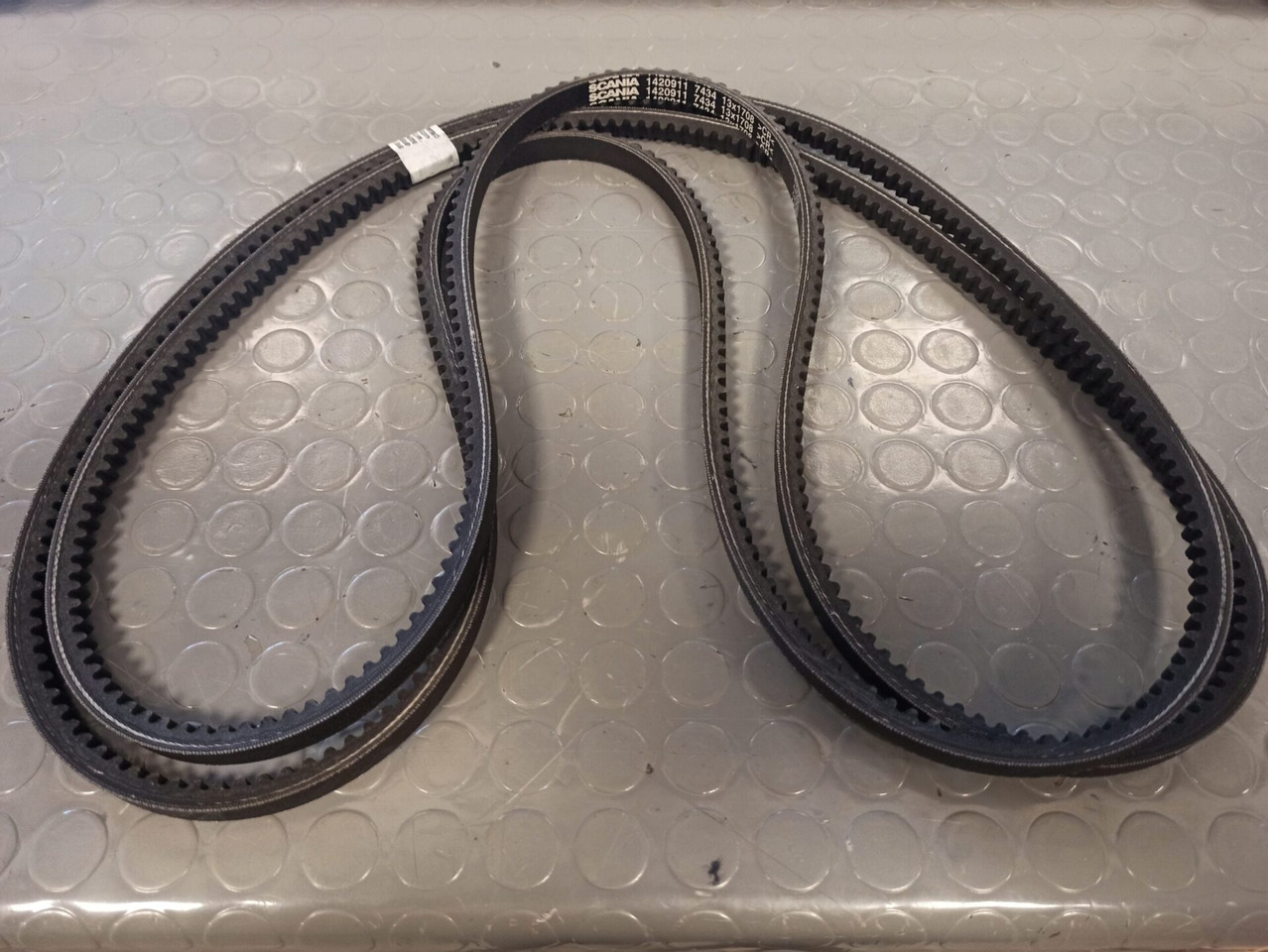 SCANIA V-BELT - 1420911 - Ikat pinggang untuk Truk: gambar 1 SCANIA V-BELT - 1420911 - Ikat pinggang untuk Truk: gambar 1