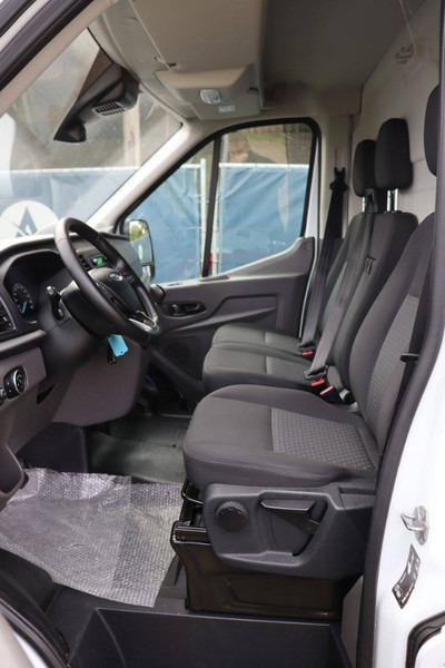 Van panel Ford Transit: gambar 20