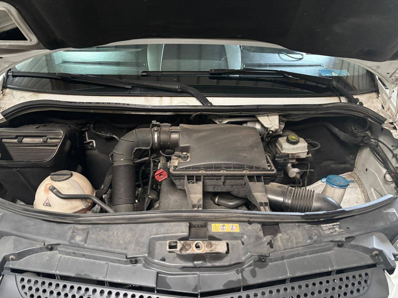 Van panel Mercedes-Benz Sprinter (II - update) 316 CDI: gambar 11