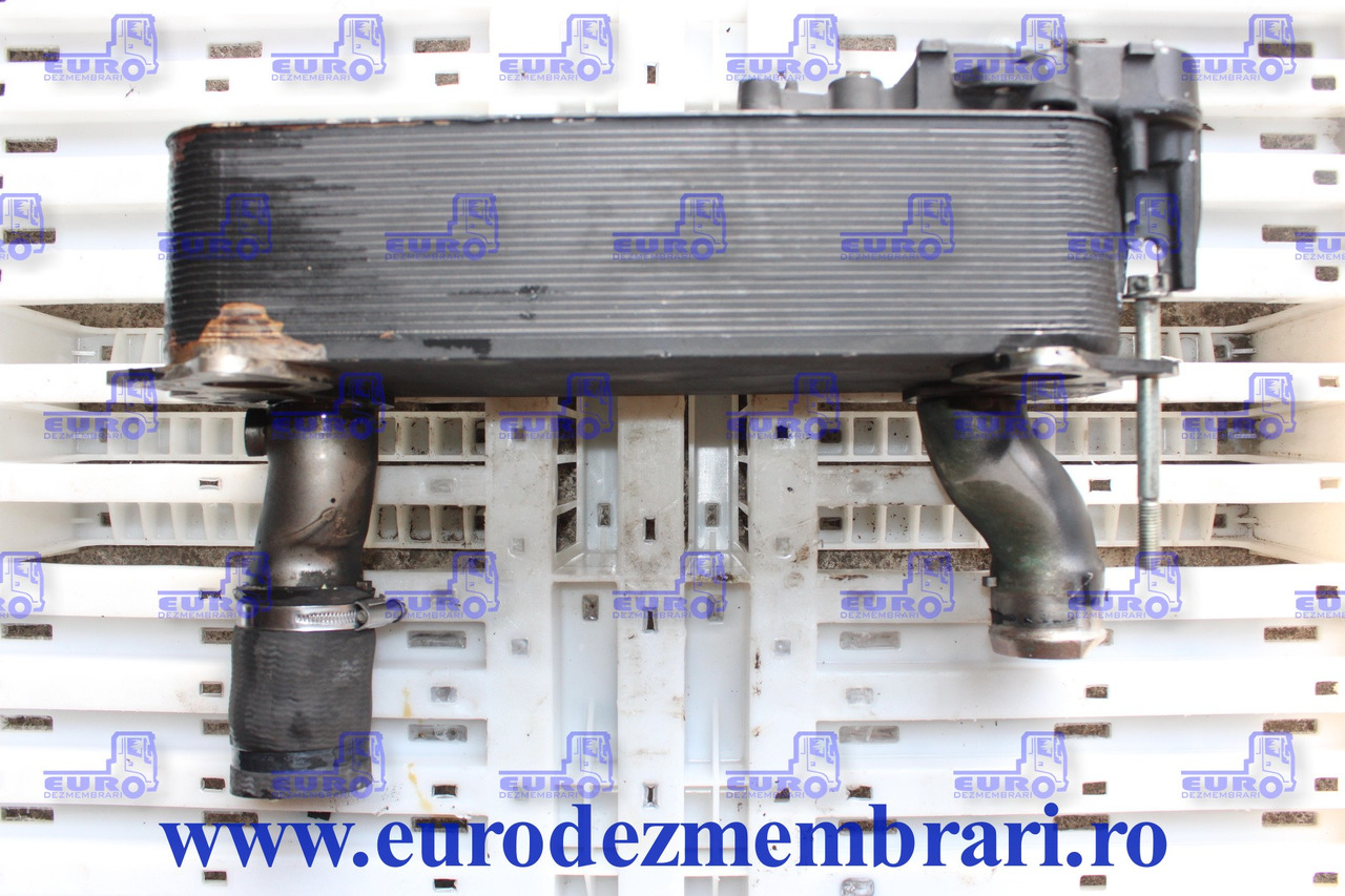 RADIATOR RACIRE ULEI INTARDER DAF 1900765 - Pendingin oli untuk Truk: gambar 2 RADIATOR RACIRE ULEI INTARDER DAF 1900765 - Pendingin oli untuk Truk: gambar 2