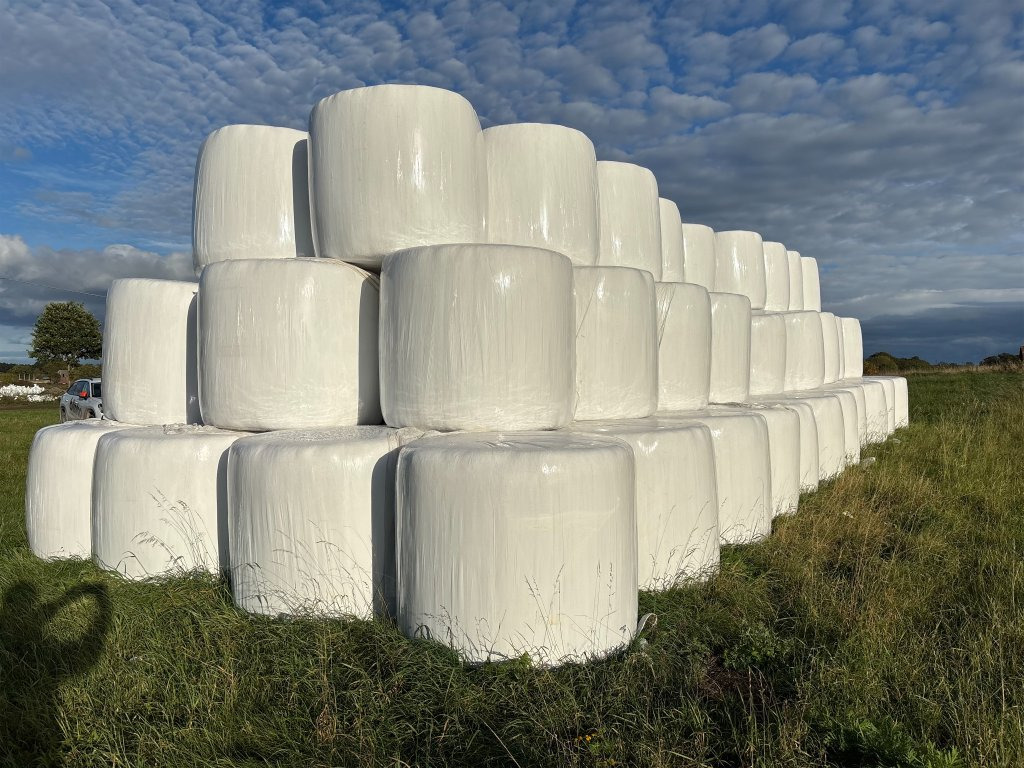 1:a skörd - Peralatan ternak: gambar 3 1:a skörd - Peralatan ternak: gambar 3