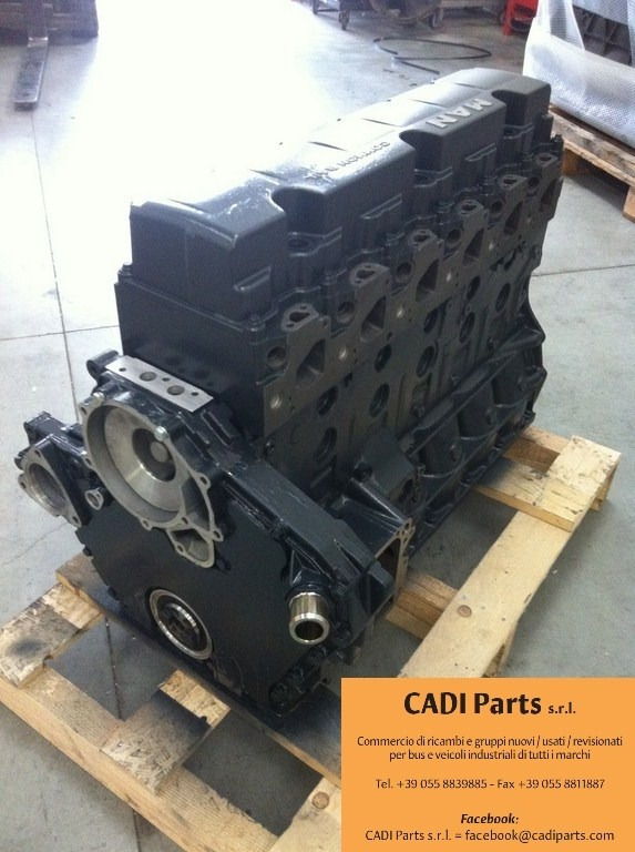 MOTORE MAN D0836LFL65 - Mesin: gambar 4 MOTORE MAN D0836LFL65 - Mesin: gambar 4